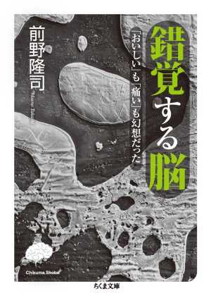 錯覚する脳（おすすめ度★★★★☆）